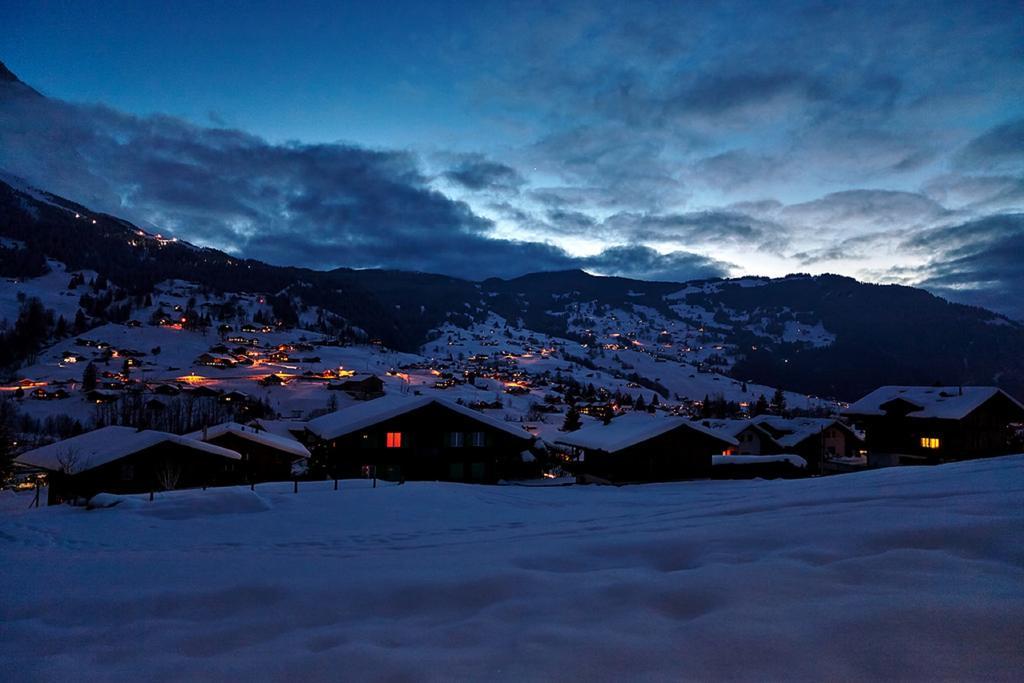Mom - Alpine Boutique Apartments, Chalet Fagus, Terrace Studio Grindelwald Eksteriør billede