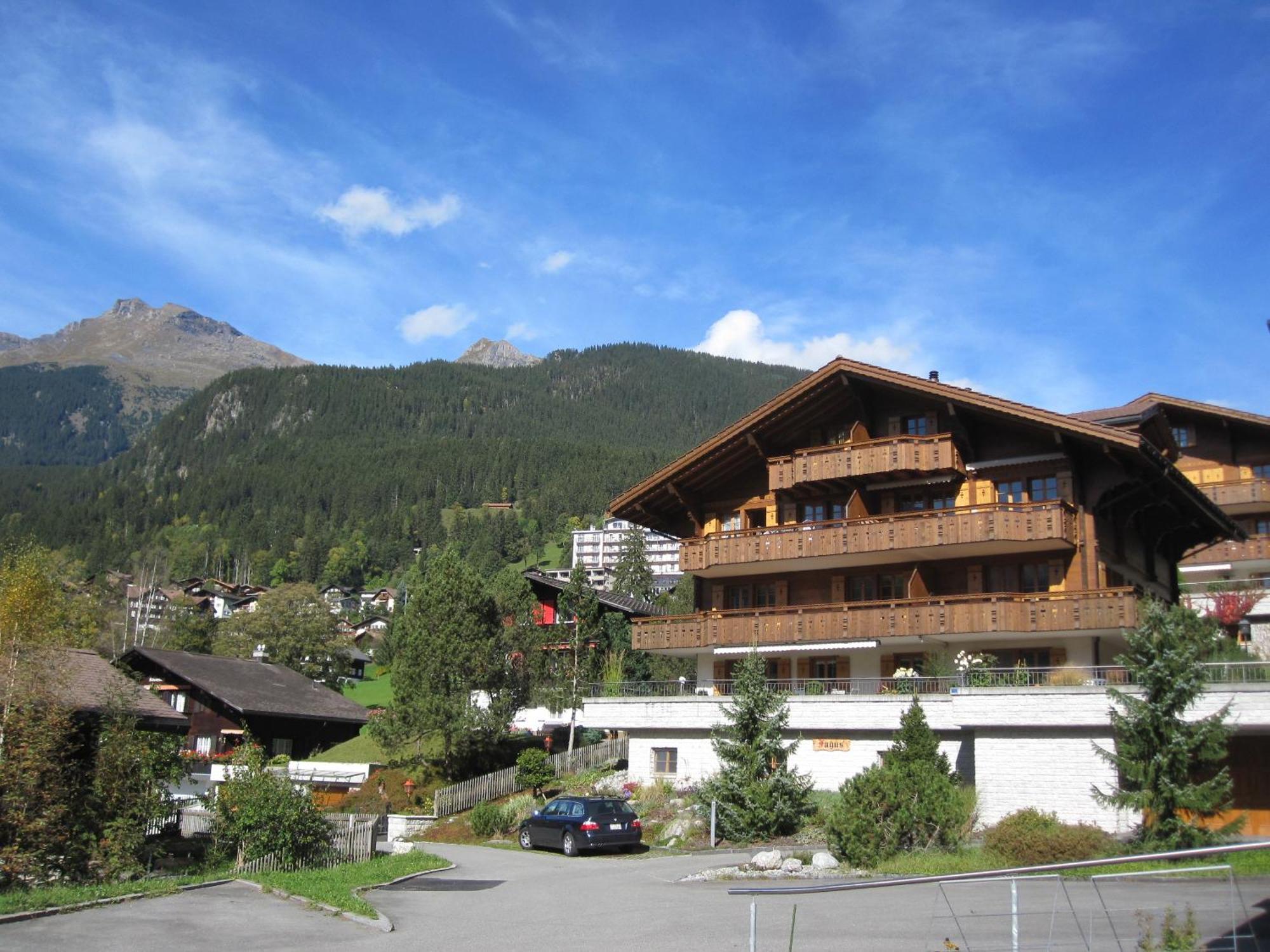 Mom - Alpine Boutique Apartments, Chalet Fagus, Terrace Studio Grindelwald Eksteriør billede