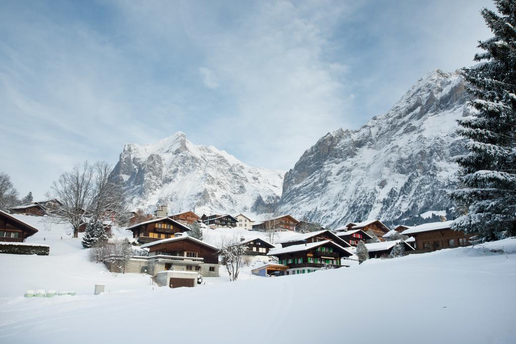 Mom - Alpine Boutique Apartments, Chalet Fagus, Terrace Studio Grindelwald Eksteriør billede